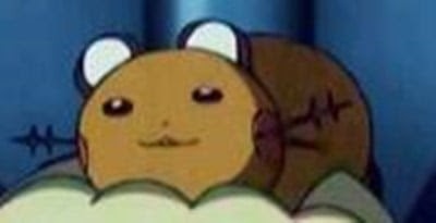 전용기보고 포켓몬 마추기