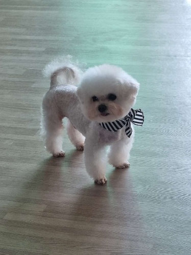 노래 가사 초성보고 제목 맞히기 중지공주 썸네일