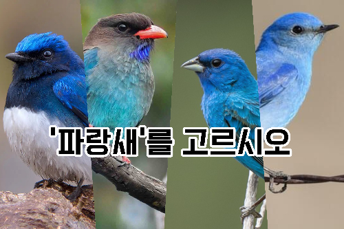 사지선다 동물 상식퀴즈 썸네일