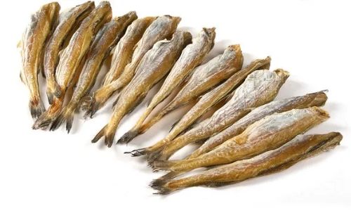 심심해서 만든 노가리 주제들 썸네일