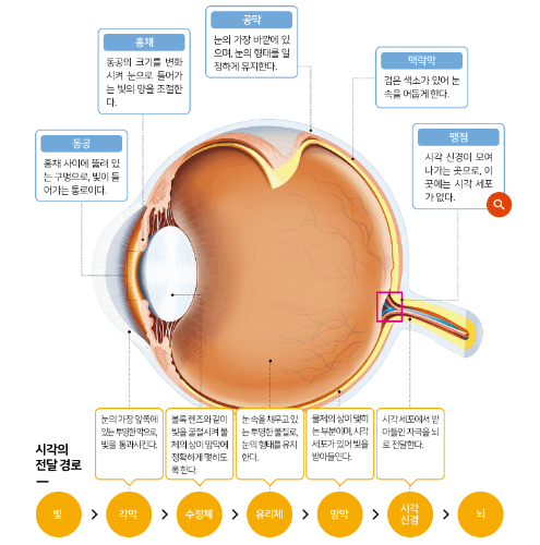 중3 과학 4단원 그림보고 이름 맞추기 썸네일