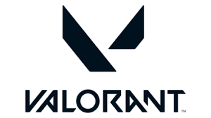 발로란트 사진보고 스킨 맞추기