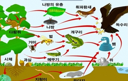 고1 과학 IV-1. 생태계와 환경 썸네일