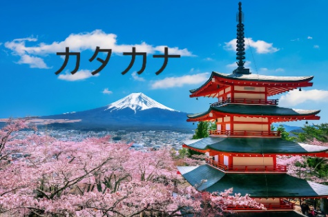 2025학년도 경희고 1학년 2학기 가타카나 단어 퀴즈