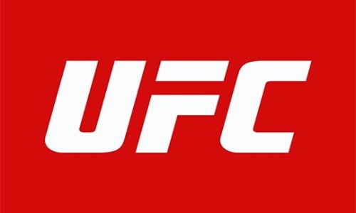 UFC 선수 맞추기  썸네일