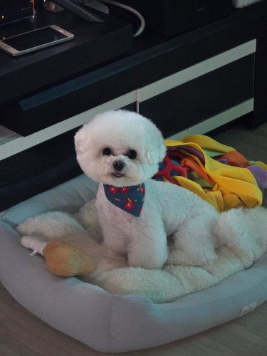 노래 가사 초성보고 제목 맞히기2 중지공주