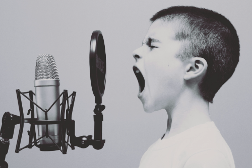 캐릭터 보고 성우 맞추기(한국)