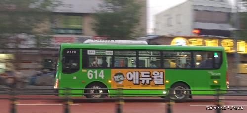 대전버스 노선 맞추기