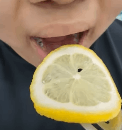 객체 지향 프로그래밍 언어와 스크립트 언어 썸네일