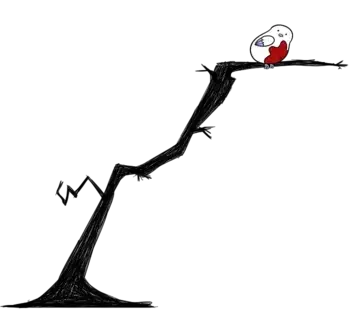 조류,새 맞추기