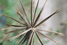 새새새새새새새새새새새새새새새