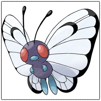 대한민국의 곤충