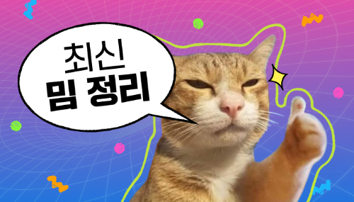 최신 밈 맞추기 썸네일