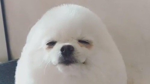 붕스 운명의 길 , 티탄 맞추기 썸네일