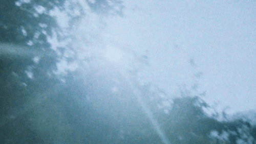 알파드라이브원 신체부위 보고 멤버 맞추기 썸네일