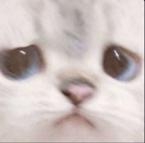 노래 가사만 보고 맞추기 썸네일