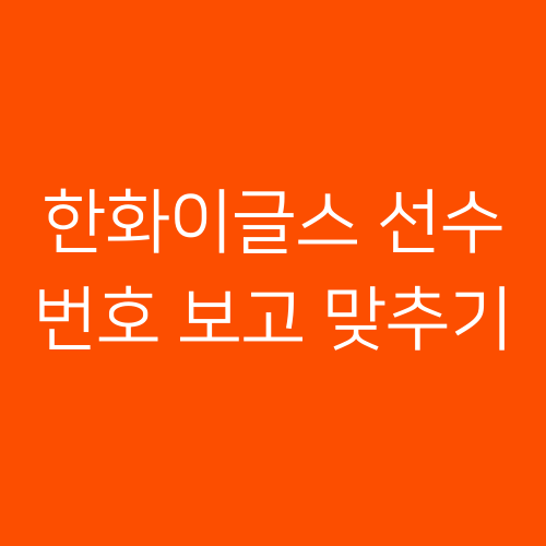2025 한화이글스 선수 번호 보고 맞추기 썸네일