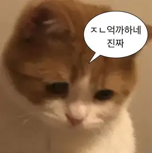 개억까 퀴즈