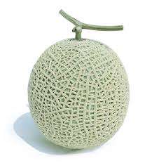 가사 보고 노래 제목 맞추기 썸네일