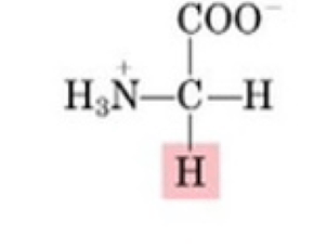 생화학1 아미노산 맞추기 썸네일