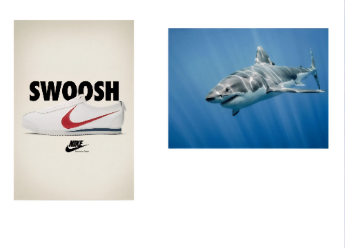 사진보고이탈리안브레인롯마추기