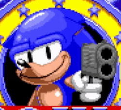 이상한 소닉 캐 맞추기(소닉캐 없음)