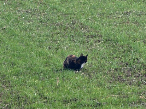 상식 퀴즈(매우쉬움!!!)