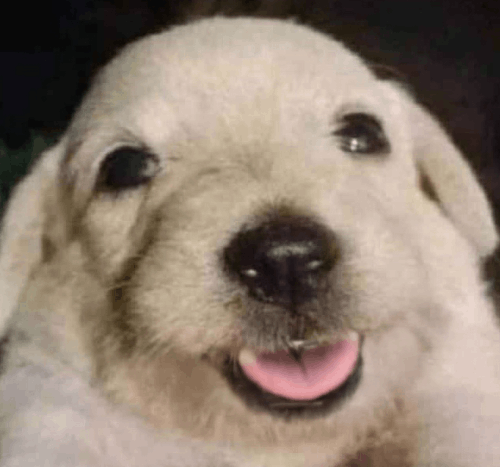 메이플 전직명 맞추기