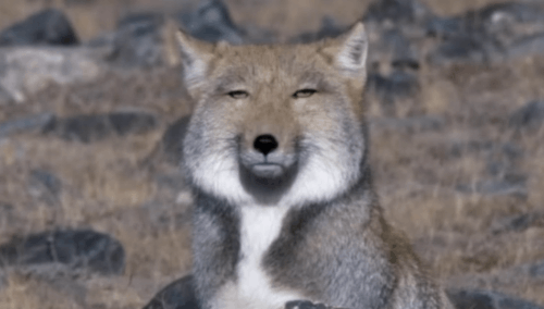 진지한 종합 상식 테스트 썸네일