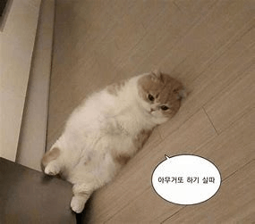 2024년도 유행했던 밈 (병맛) 썸네일