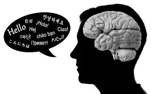 언어퀴즈 썸네일