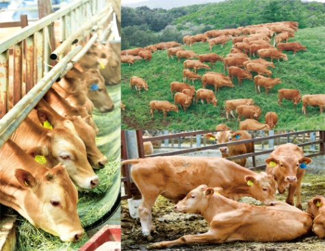 포천일고 전공심화반 (B)