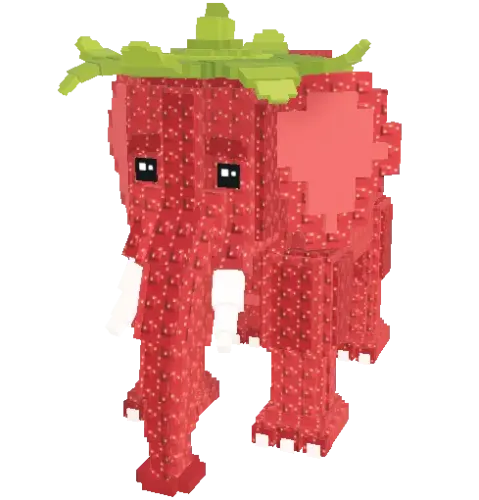 브레인롯 훔치기 퀴즈