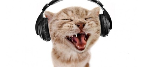 Kpop 노래 앨범 커버 보고 발매 년도 맞추기 썸네일