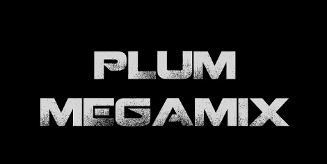 PLUM (플럼) MEGMIX 곡 맞추기!!