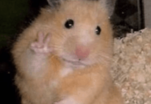 인트로 듣고 유튜버 맞추기