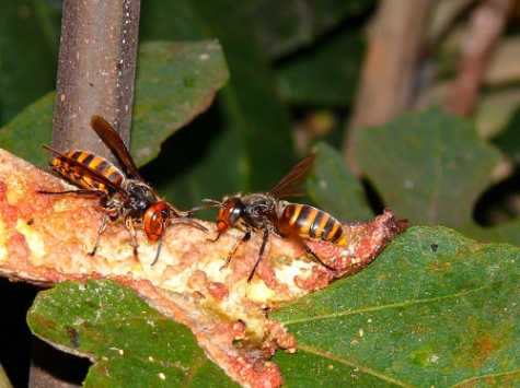 국곤이름 맞추기 썸네일