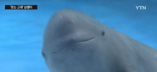 역사(2)-삼국시대(Made by Dracena)