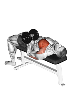 헬스 종목 맞추기