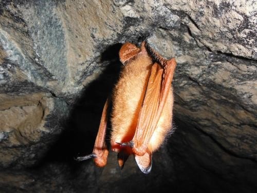 동물분류기사실기