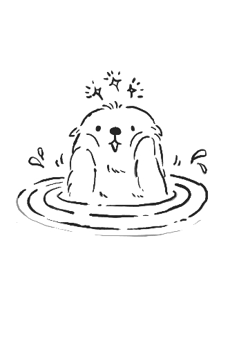 일본 노래 퀴즈