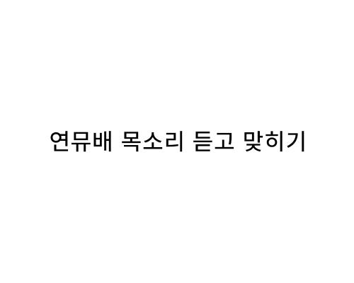 연뮤배 목소리 듣고 맞히기