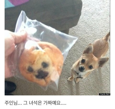 자주 틀리는, 미친듯이 헷갈리는 것들 맞히기