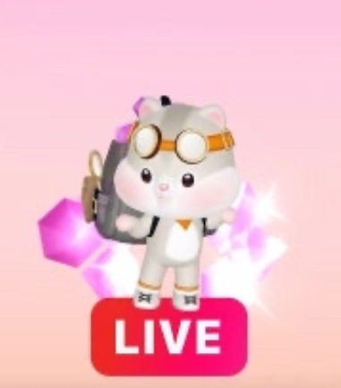 제페토 라이브 스트리머 맞추기