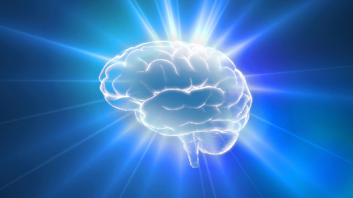 뇌 반쪽 날려도 풀 수 있는 상식 퀴즈 썸네일