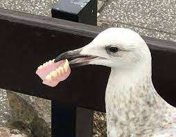 (24.3.16 업뎃)80년대중반~90년대중반 생 공감 퀴즈 썸네일