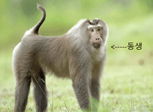 동생놈 말실수 맞히기 (v 1.1.3) 썸네일