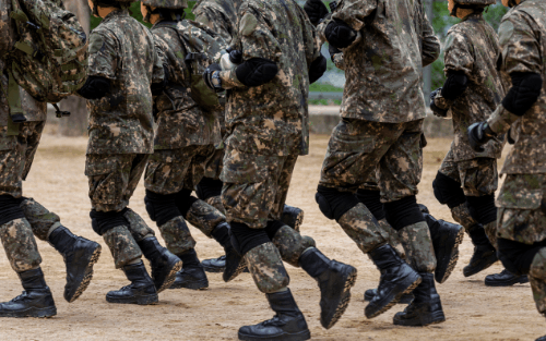 2025년 기준 나라국기보고 군사력 맞추기 썸네일