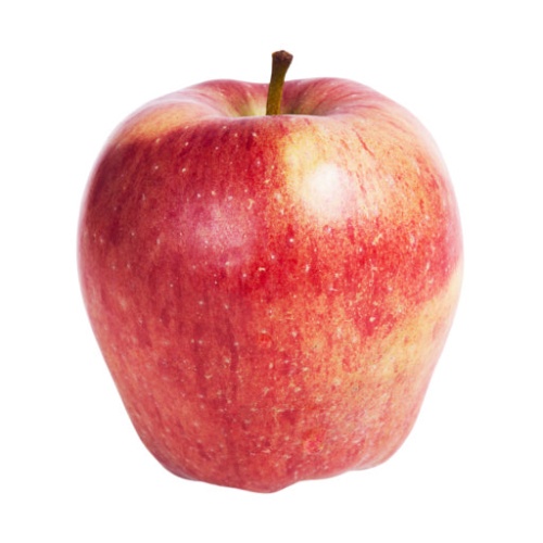 림버스 떠나간 캐릭터 이름 맞히기(9장까지) 썸네일