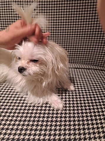 노래 퀴즈(빅뱅, 데이식스)